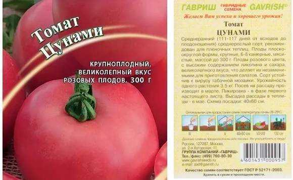 20 лучших сортов тепличных томатов, которые можно выращивать в сибири