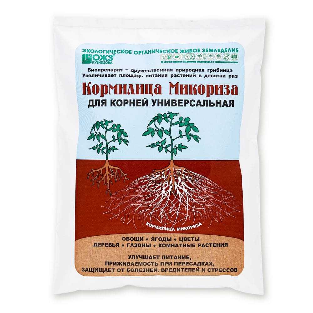 Микориза