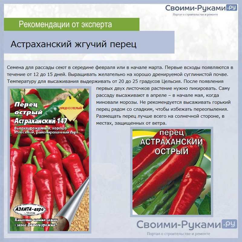 Перец “рамиро”: описание сорта