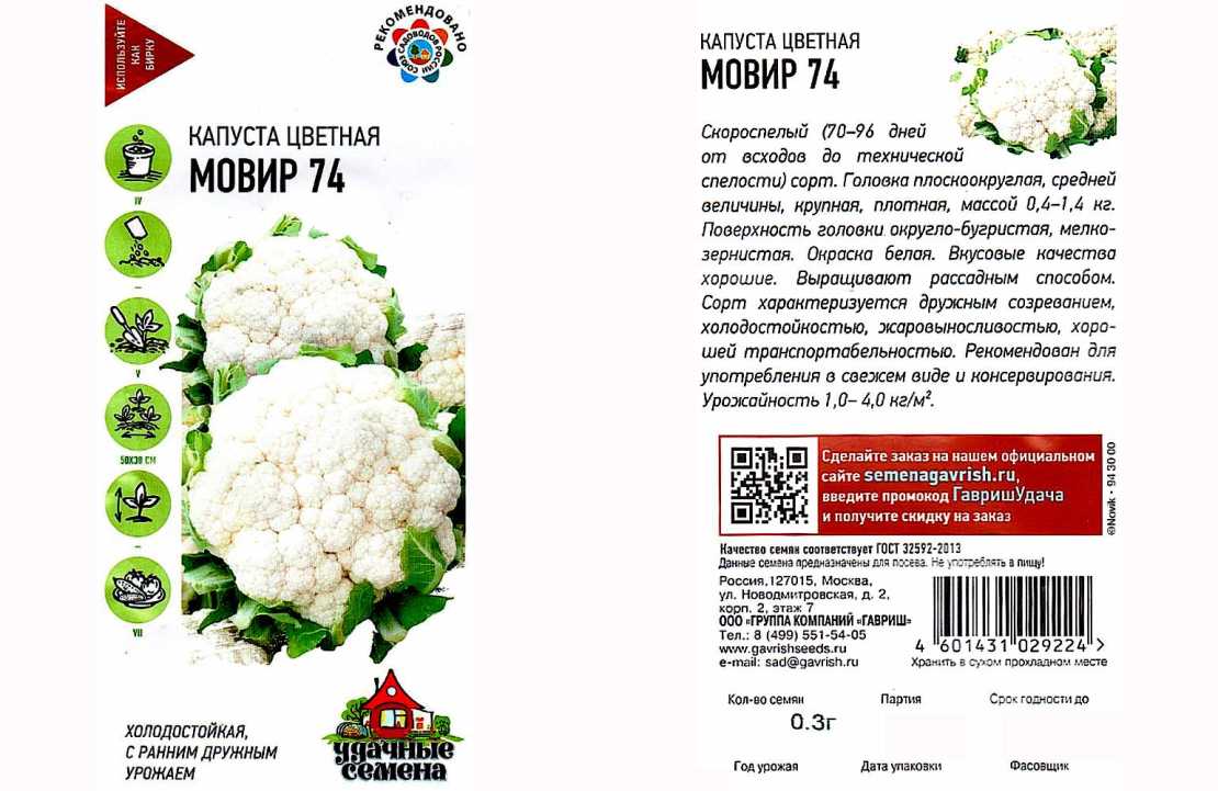 Капуста цветная мовир 74: особенности сорта, выращивание и уход