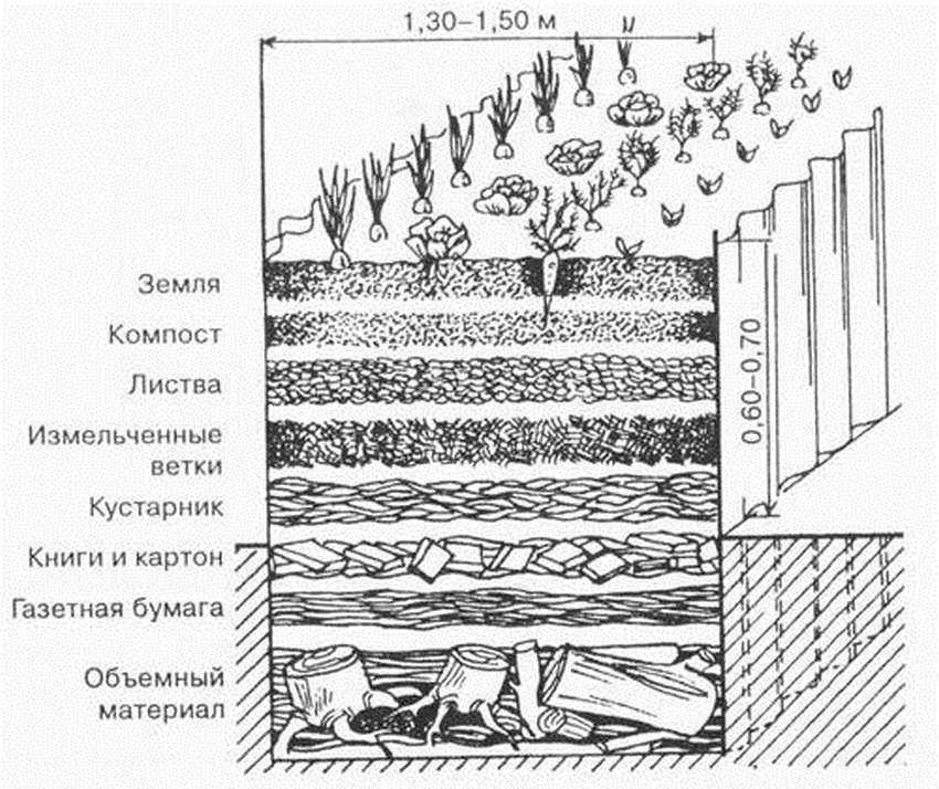Как сделать высокие грядки — решение для любой почвы. фото — ботаничка