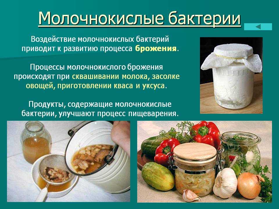 Квашеная капуста со свеклой – 6 рецептов на зиму