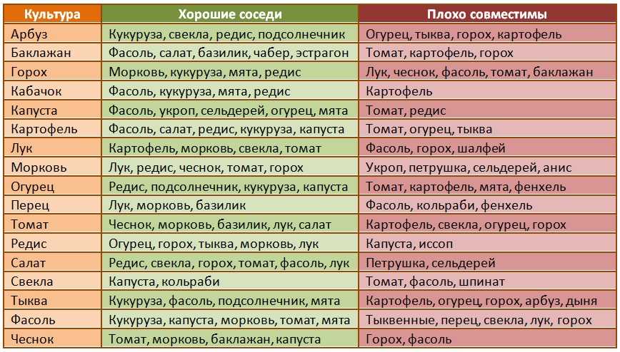 Какие растения совмещаются, что рядом с чем можно сажать
