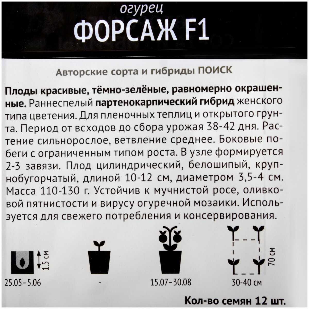 Огурец форсаж