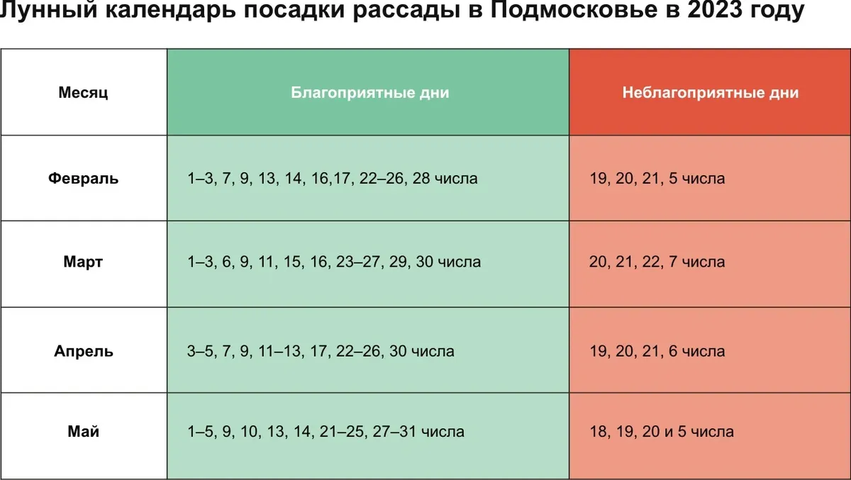 Сажаем помидоры в теплицу из поликарбоната: как и когда правильно сажать, схема посадки и какие семена лучше высаживать