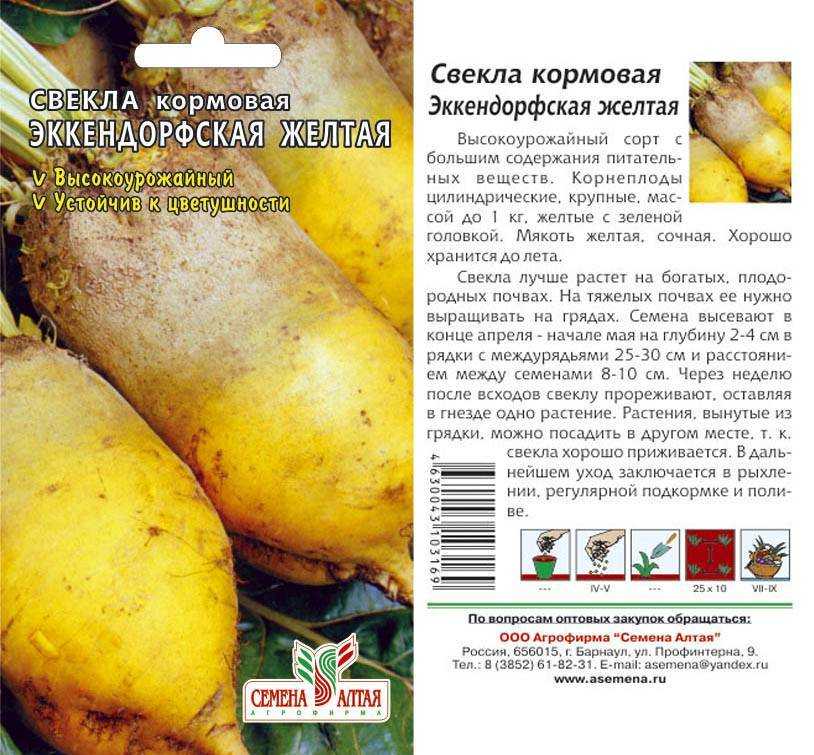 Лучшие сорта свеклы 2020 [описание и фото]