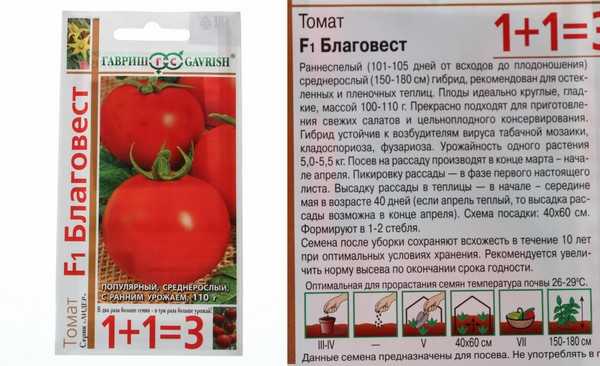 Томат благовест - характеристика и описание сорта: 120 фото, урожайность, оптимальные удобрения и особенности ухода