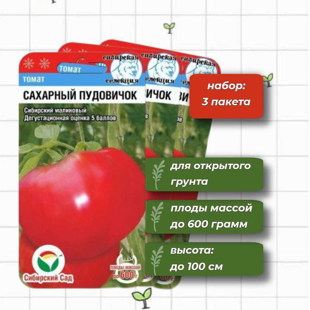 Томат сахарный пудовичок: описание и характеристика, особенности выращивания сорта, урожайность, фото