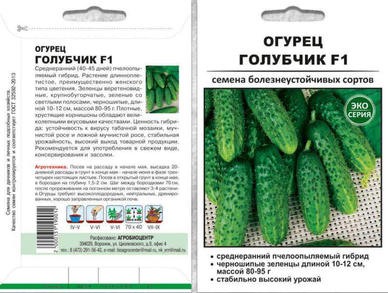 Самые урожайные огурцы для открытого грунта - как выбрать скороспелые, среднего и позднего созревания