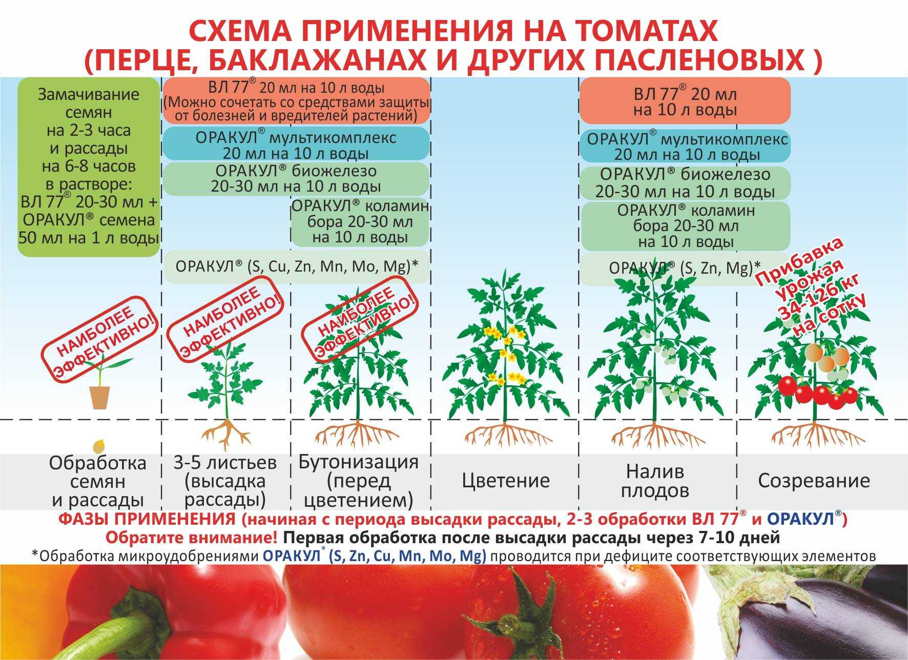 Баклажаны в теплице из поликарбоната – посадка, выращивание, фото — как сажать баклажаны в теплице из поликарбоната