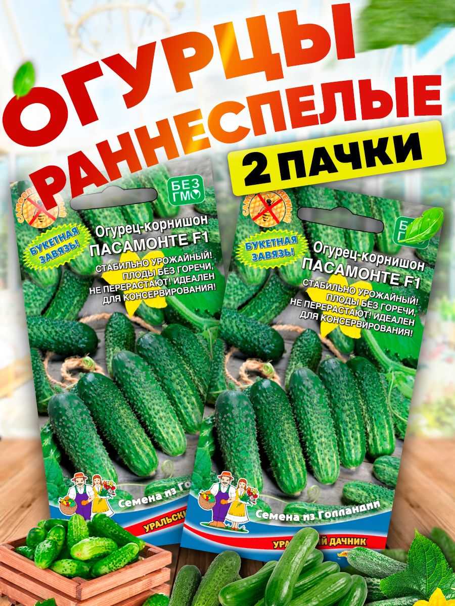 Огурец платоша f1: описание и характеристика раннего сорта