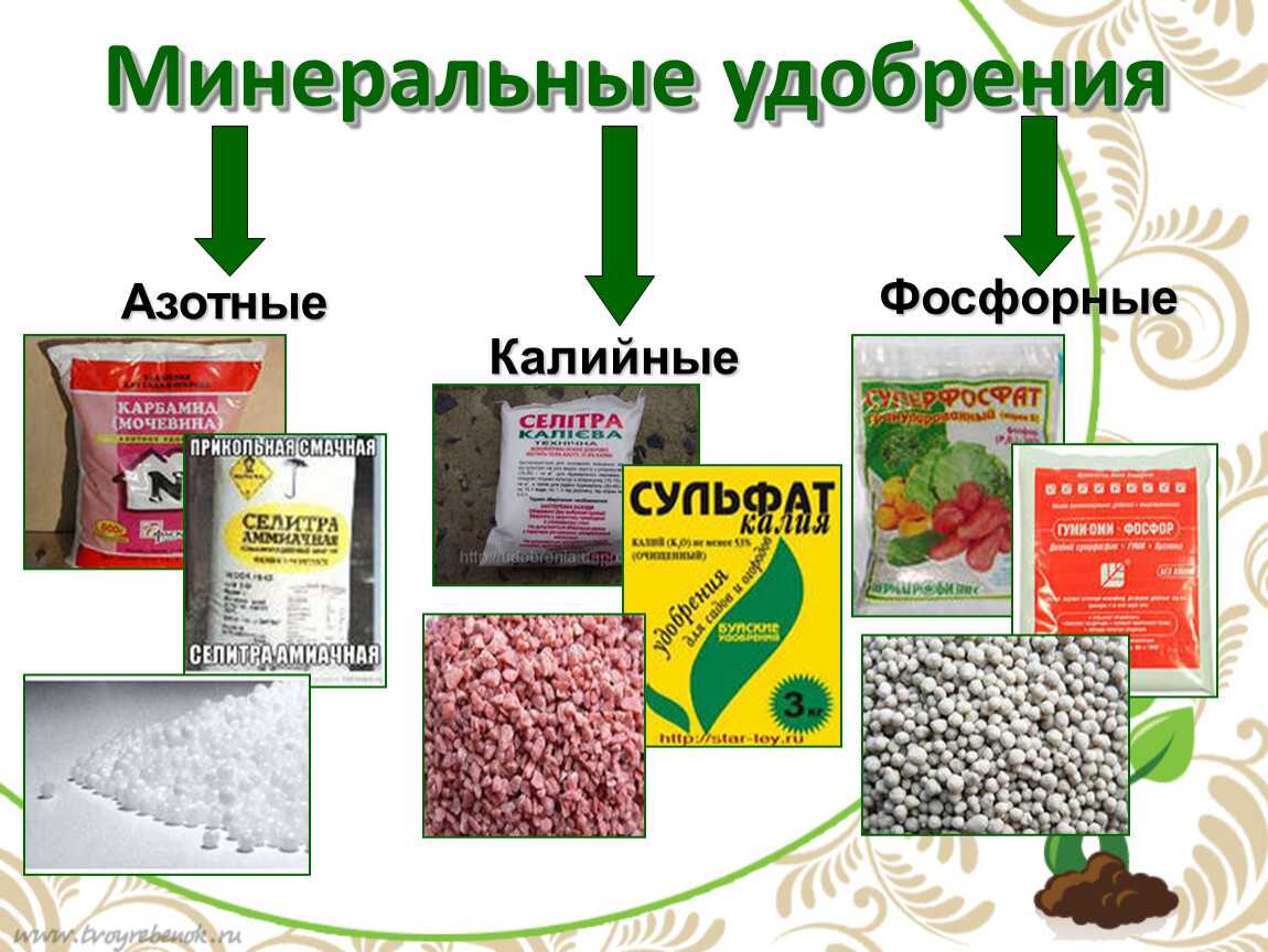 Полное минеральное удобрение, что это такое и как использовать? фото — ботаничка