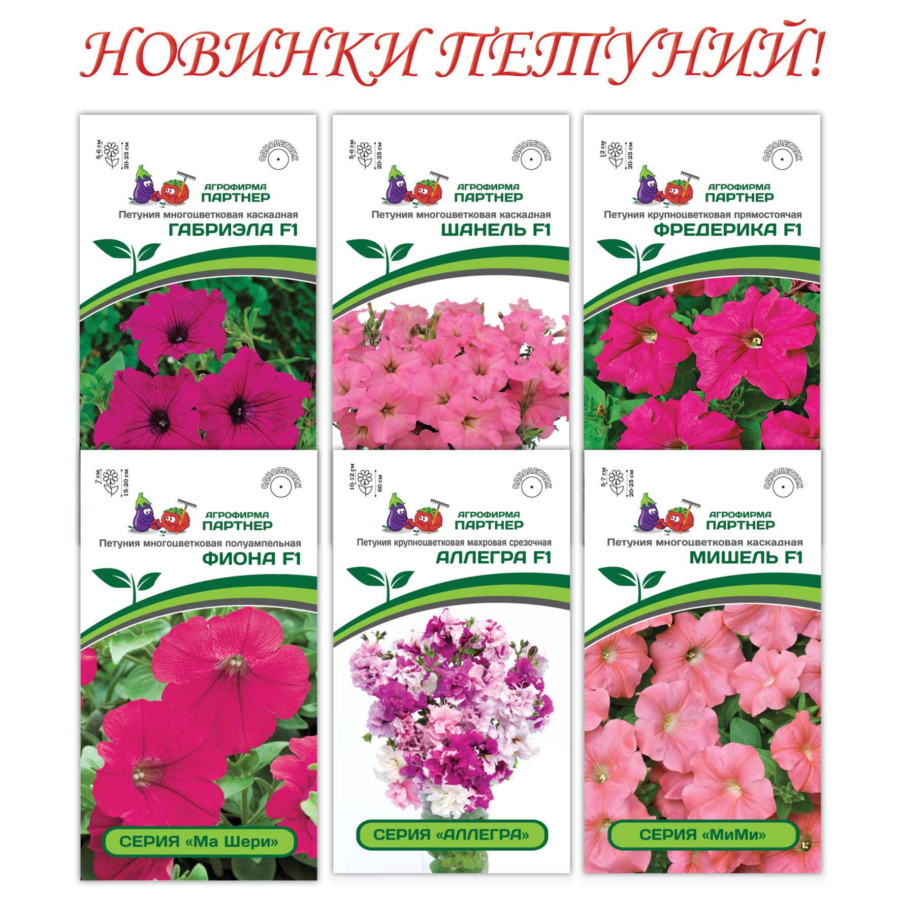 Необычные однолетники: новые сорта привычных цветов