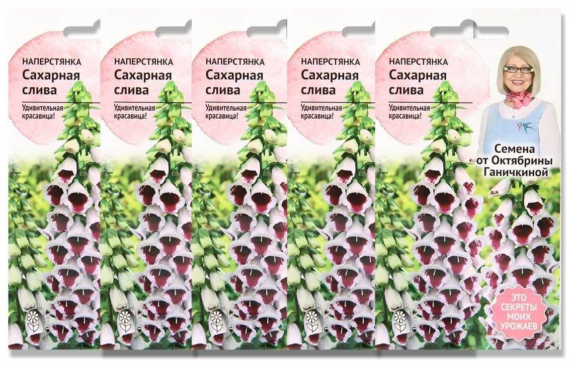 Выращивание наперстянки и правильный уход