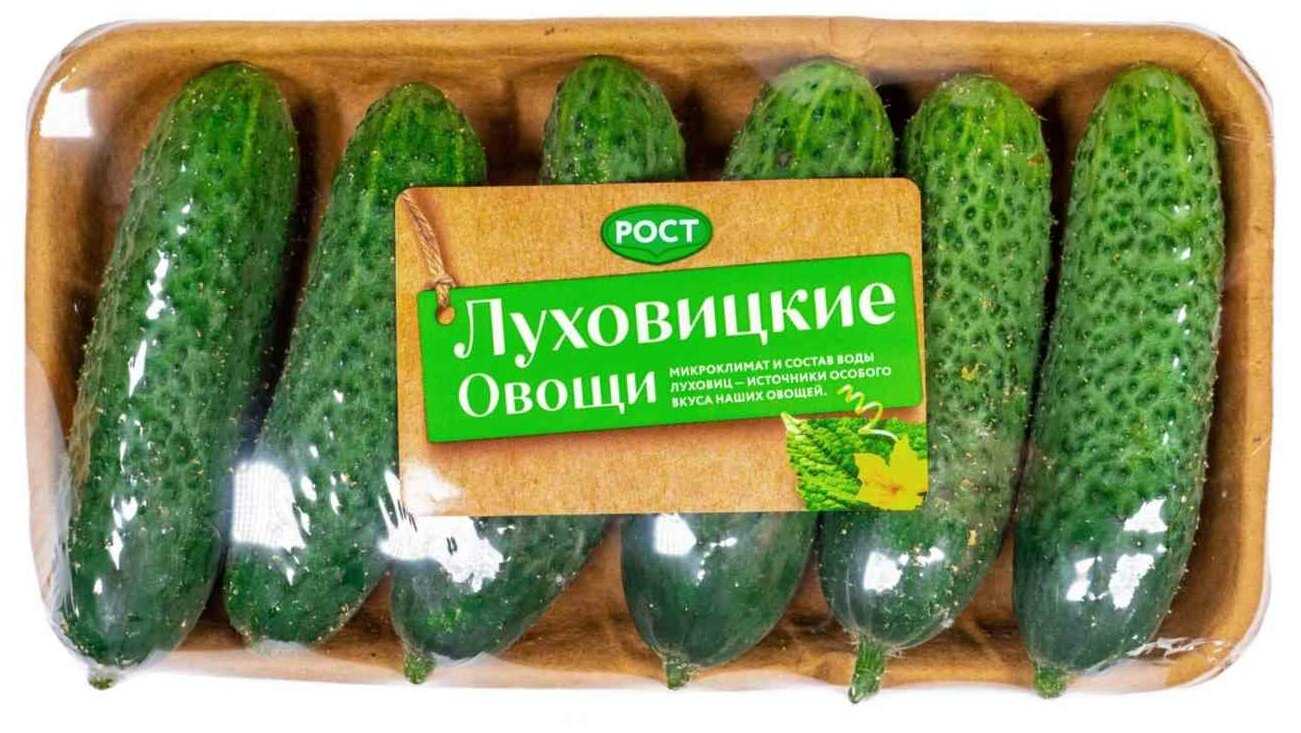 Короткоплодные сорта огурца имеют длину зеленца - у дачки