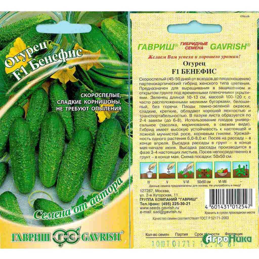 Самые урожайные огурцы для открытого грунта - как выбрать скороспелые, среднего и позднего созревания