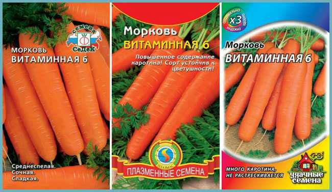 О моркови Витаминная 6 отзывы фото характеристика и описание сорта достоинства и недостатки особенности выращивания и ухода