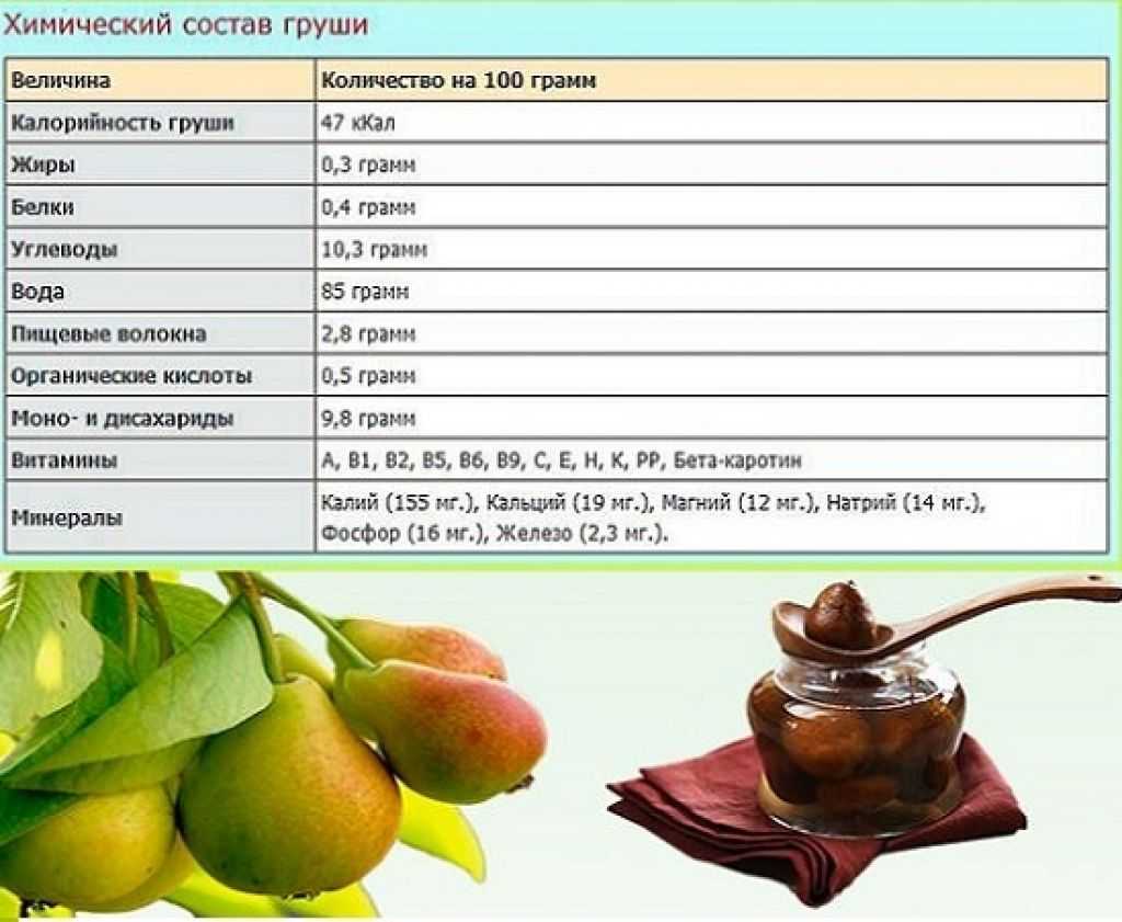 Груша уссурийская: описание сорта, рецепты, отзывы, фото