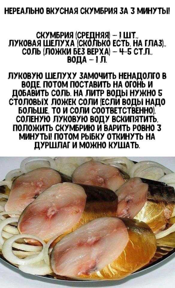 Нежнейшая и очень вкусная скумбрия в томатном соусе — рецепт с фото