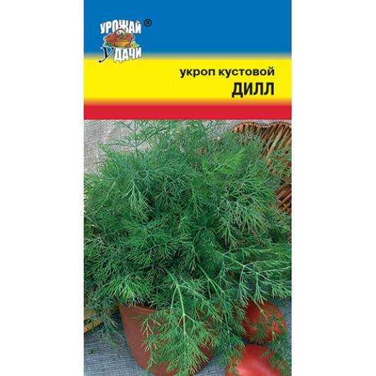 Агротехнические секреты выращивания укропа пахучего (огородного)