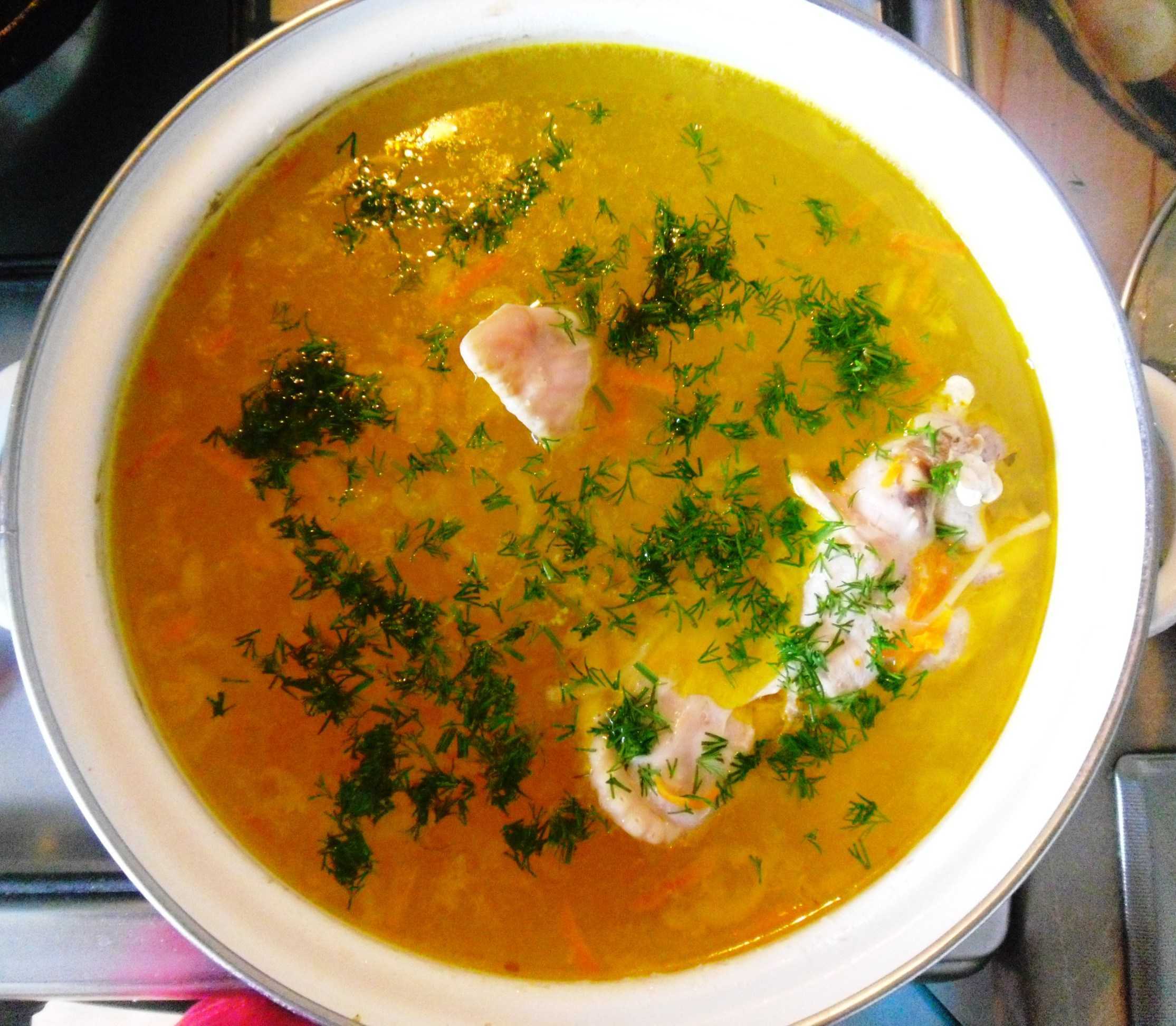 Суп из индейки – 6 рецептов как приготовить вкусный суп