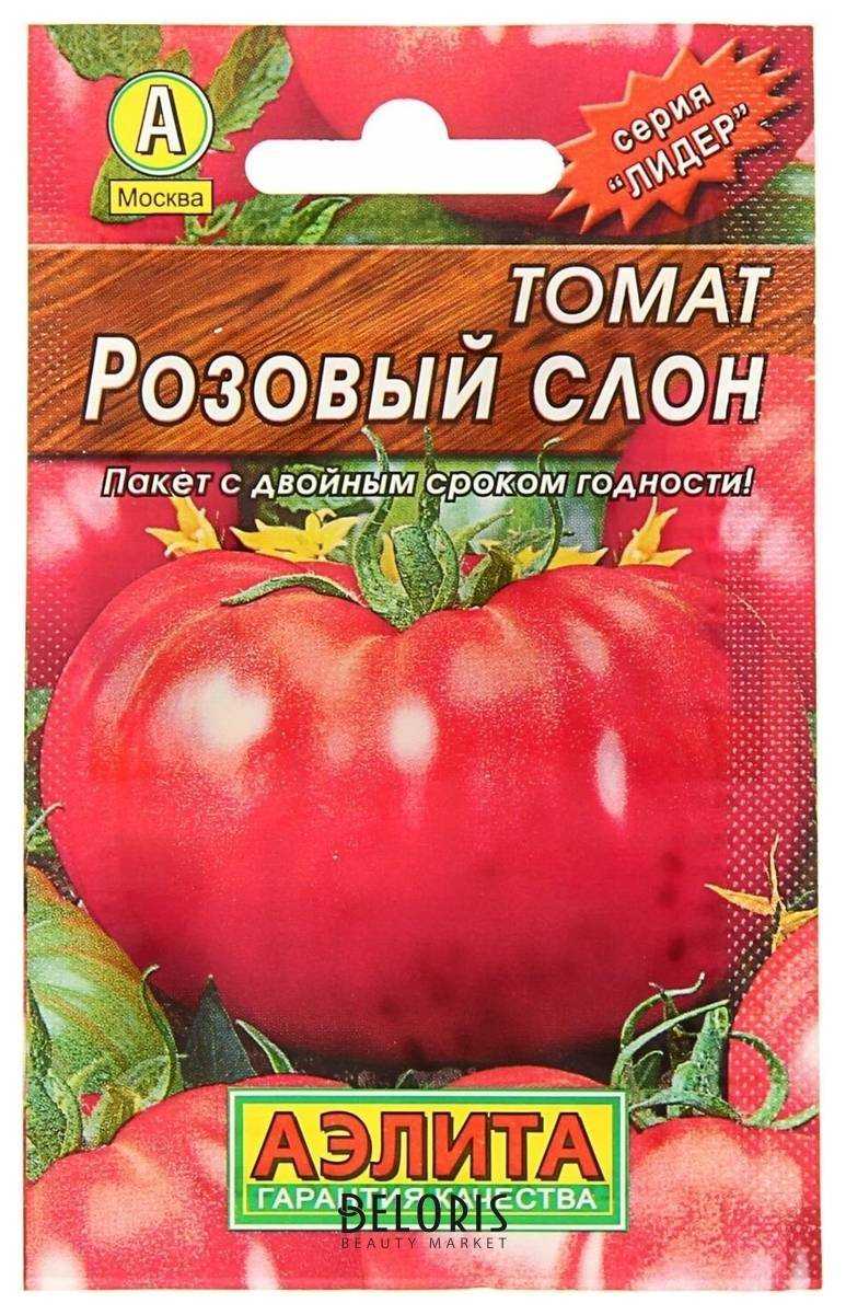 Помидоры розовый слон (55 фото): характеристика и описание сорта, кто сажал томаты, отзывы, видео