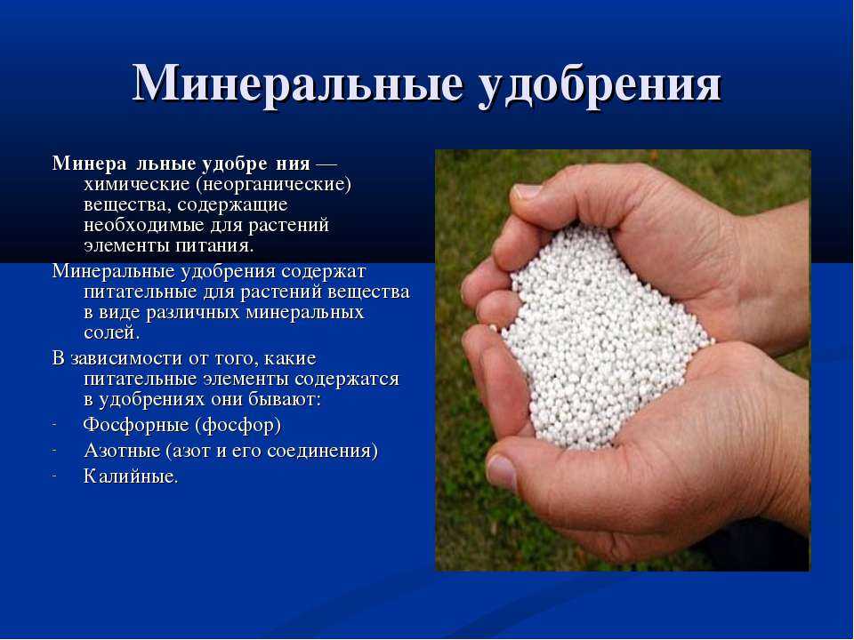 Основные виды минеральных и органических удобрений