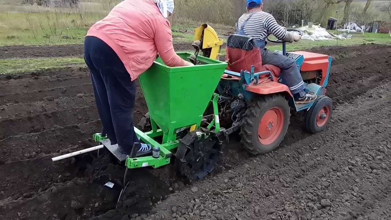 Выращивание картофеля на приусадебном участке