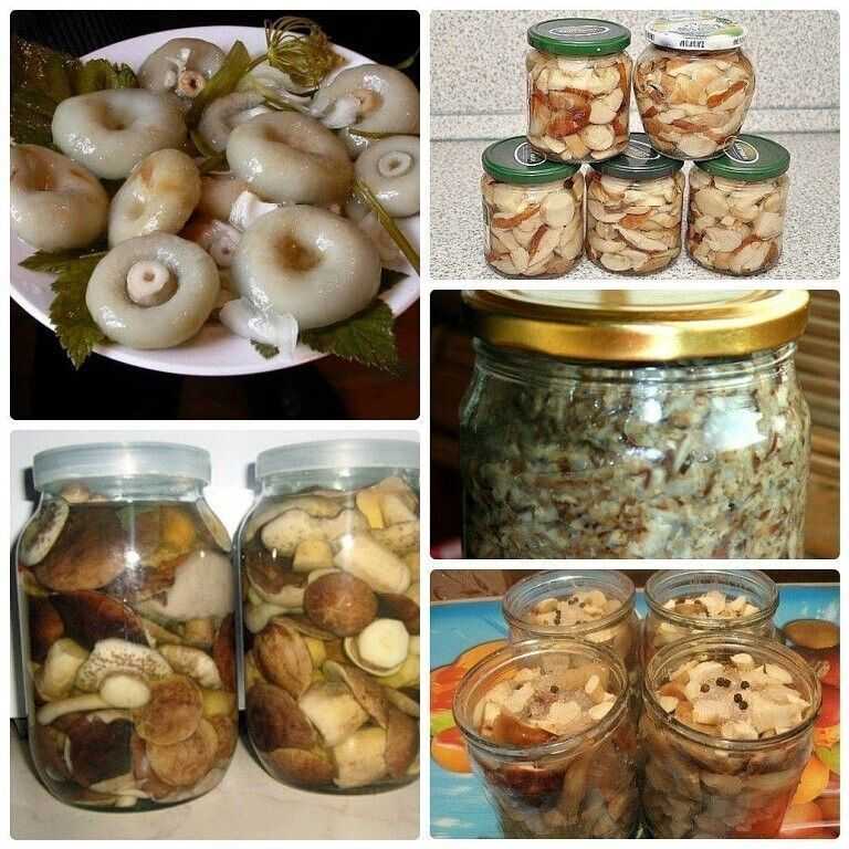 Как вкусно засолить, замариновать грибы волнушки в банках горячим и холодным способом на зиму: секреты, советы, лучшие рецепты. как чистить, сколько вымачивать и варить волнушки перед засолкой до готовности? как солить волнушки и грузди вместе: рецепт