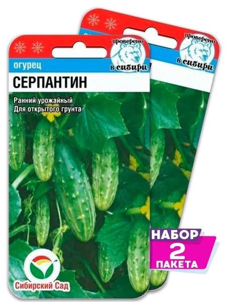 Огурцы сорта серпантин: урожайность, условия выращивания