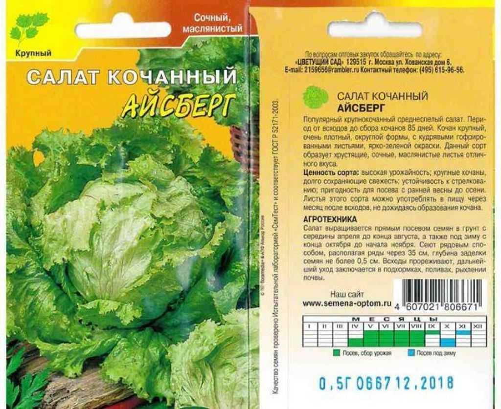 Как сажать листовой салат на грядке или выращивать в горшочке
