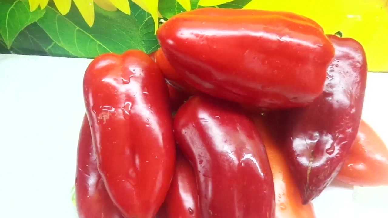 Сладкий перец: как выбрать хорошие сорта и как омолодить лежалые семена