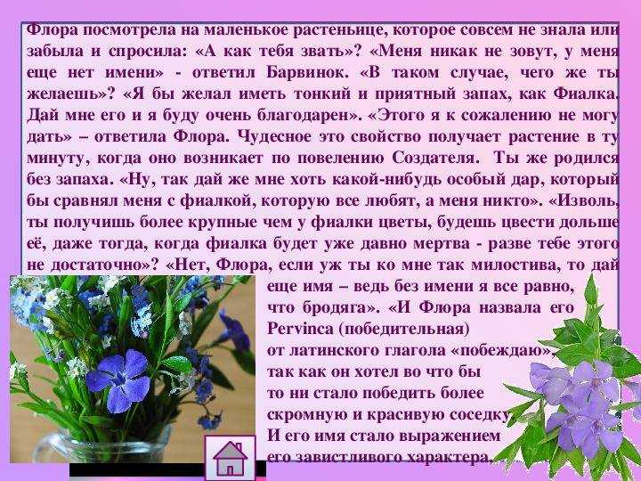 Антуриум: приметы и суеверия, связанные с цветком "мужское счастье", в том числе и для женщин, что будет, если он зацвел и можно ли держать это растение дома?
