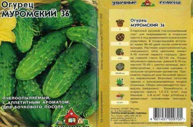 Выбираем районированные сорта, пригодные для выращивания на дальнем востоке.