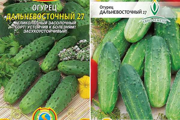 Огурец дальневосточный: характеристика и описание сорта, выращивание и отзывы с фото