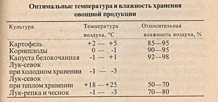 Почему нельзя есть проросший картофель :: инфониак