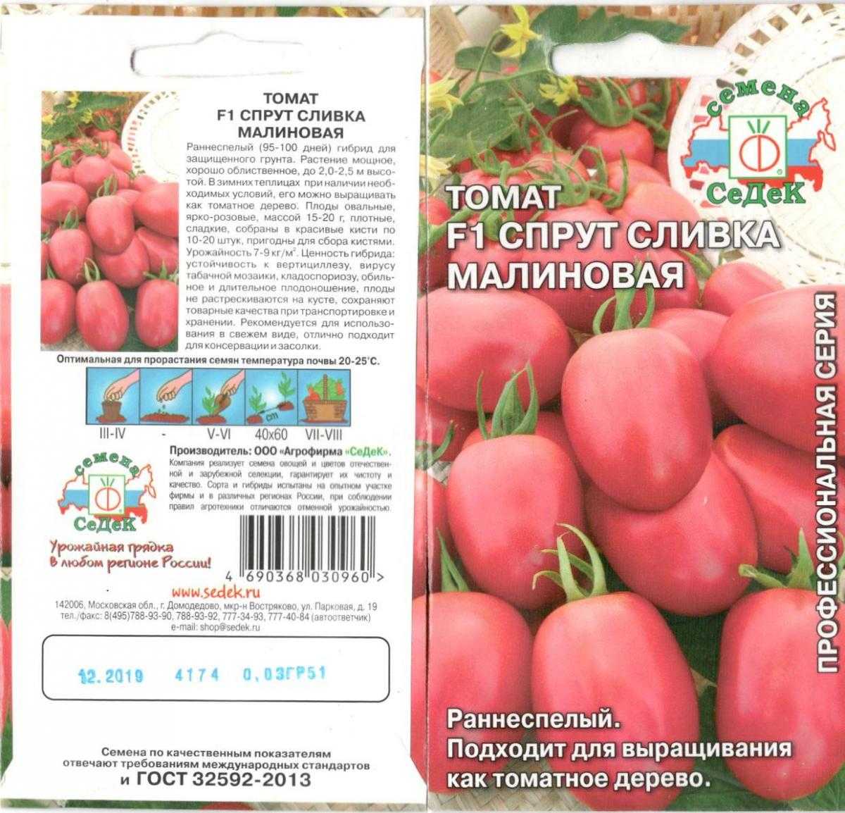 Итальянское томатное дерево сливка - ogorod.guru