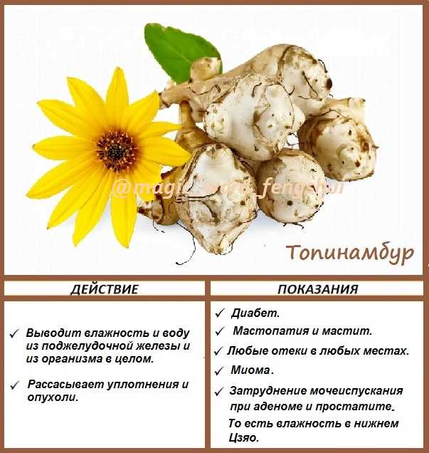 Ямс выращивание из семян - у дачки