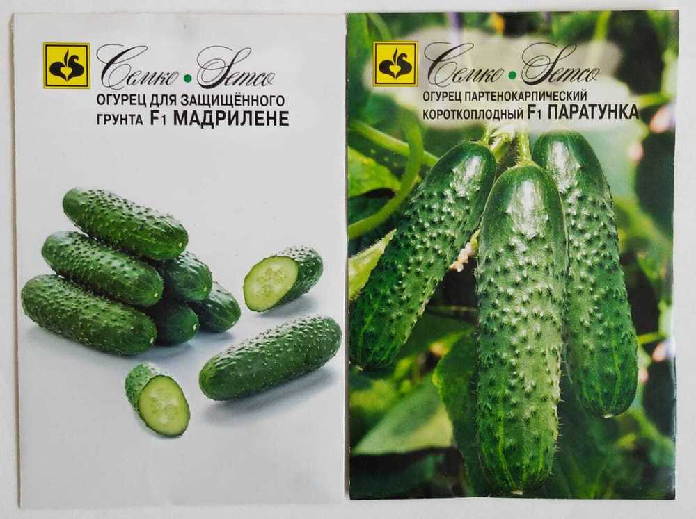 Огурцы мадрилене описание сорта - у дачки