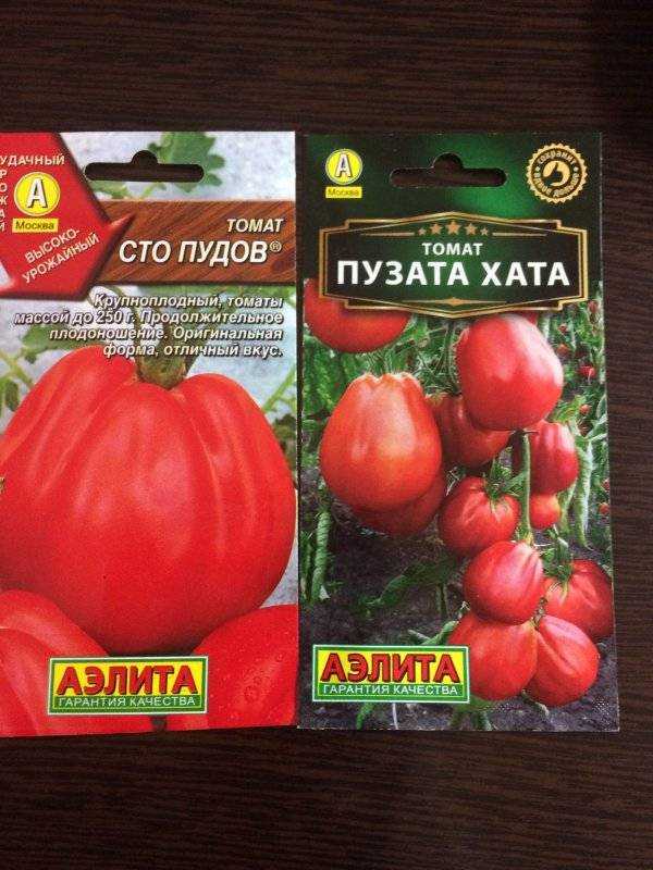 Томат сто пудов: характеристика и описание сорта, фото, отзывы, посадка и уход