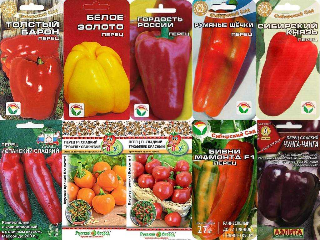 12 самых вкусных сортов и гибридов сладкого перца, которые я выращивала. описание. фото — ботаничка