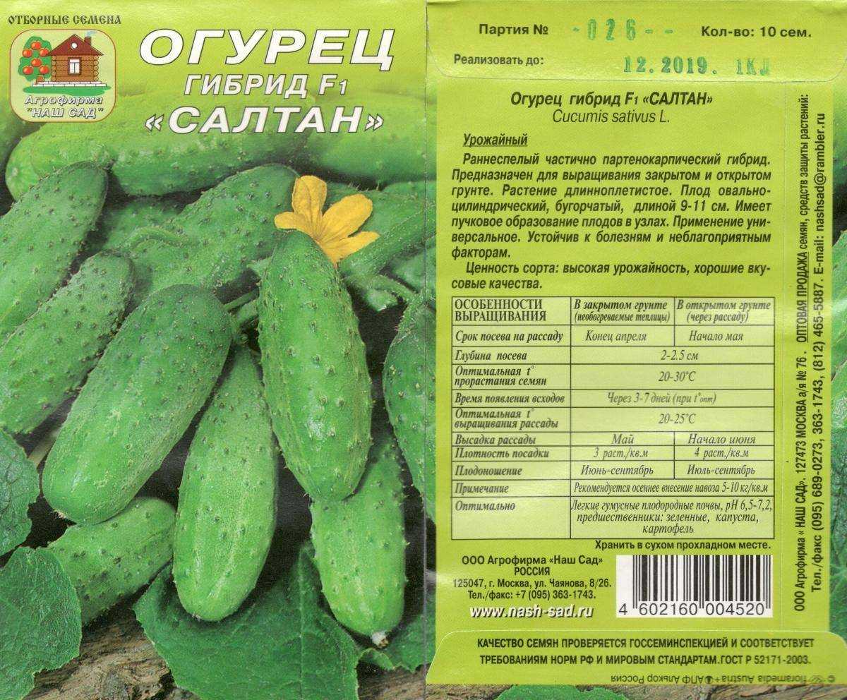 Лучшие сорта поздних огурцов: их описания и выращивание