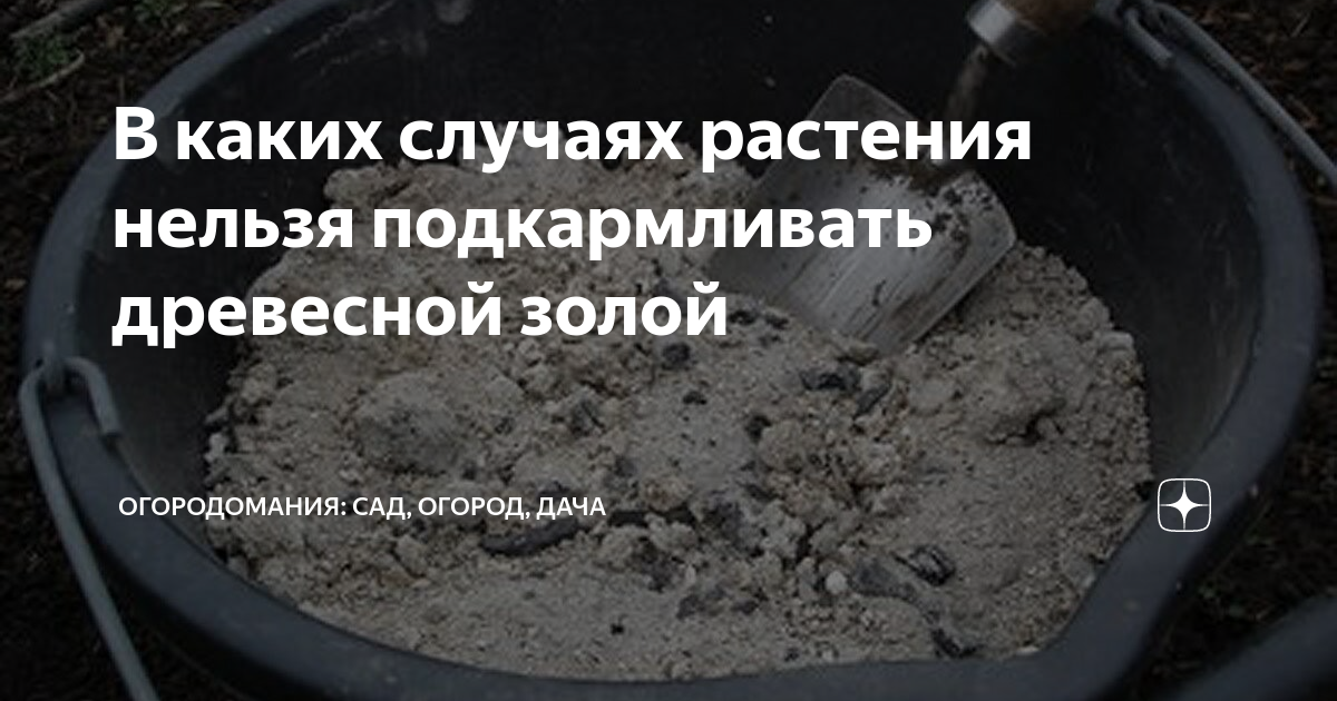 Древесная зола: состав удобрения и как его правильно применять