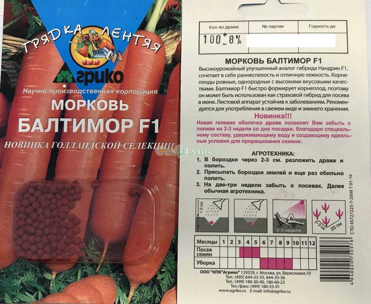 Лучшие сорта моркови на 2024 год: самые урожайные, вкусные, сочные, сладкие