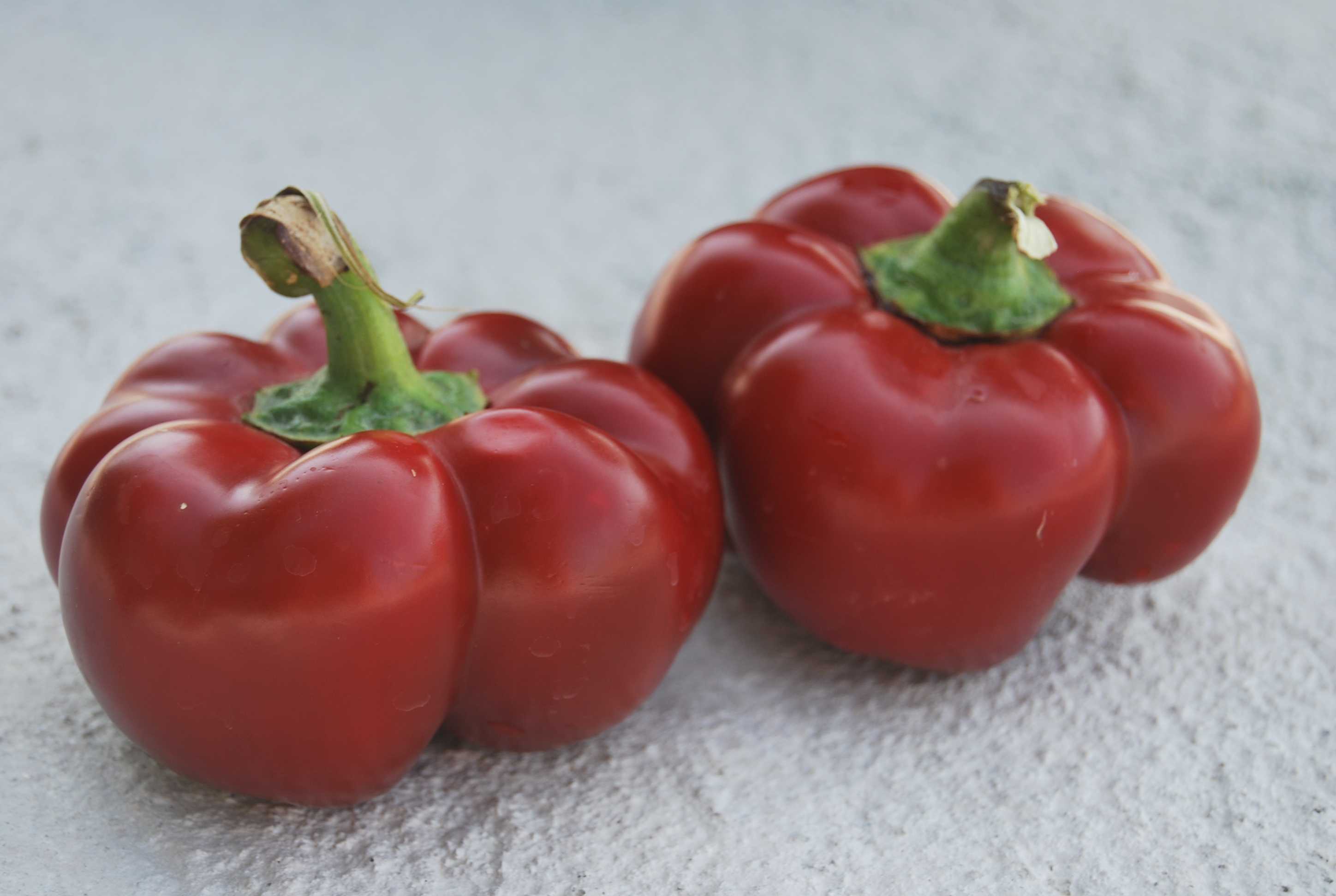 Перец новогогошары: описание, характеристика и особенности вкусового качества сорта, фото, отзывы