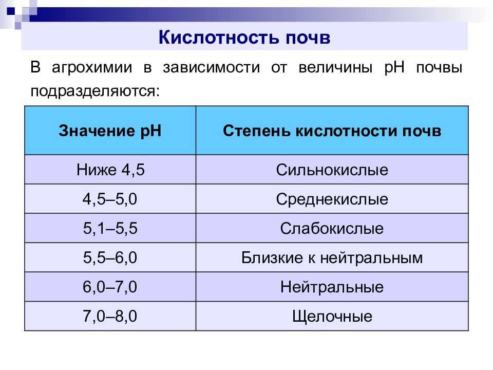 Как раскислить почву на своем огороде