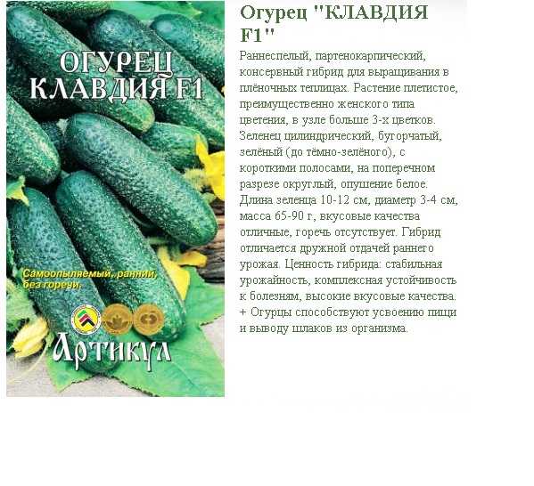 Огурец «стелла»: отзывы тех, кто выращивал, плюсы и минусы сорта, нюансы агротехники