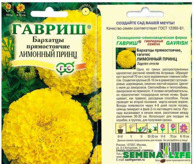 Бархатцы: сорта их названия с описанием и фото