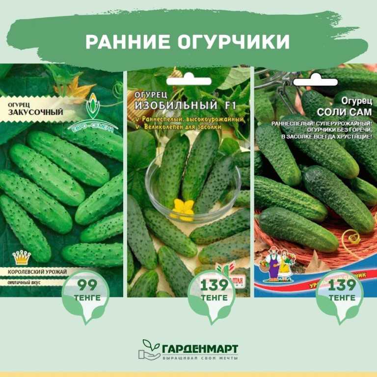 Огурцы ? корнишоны: лучшие сорта для открытого грунта, для теплиц, фото, чем корнишоны отличаются от огурцов | qlumba.com