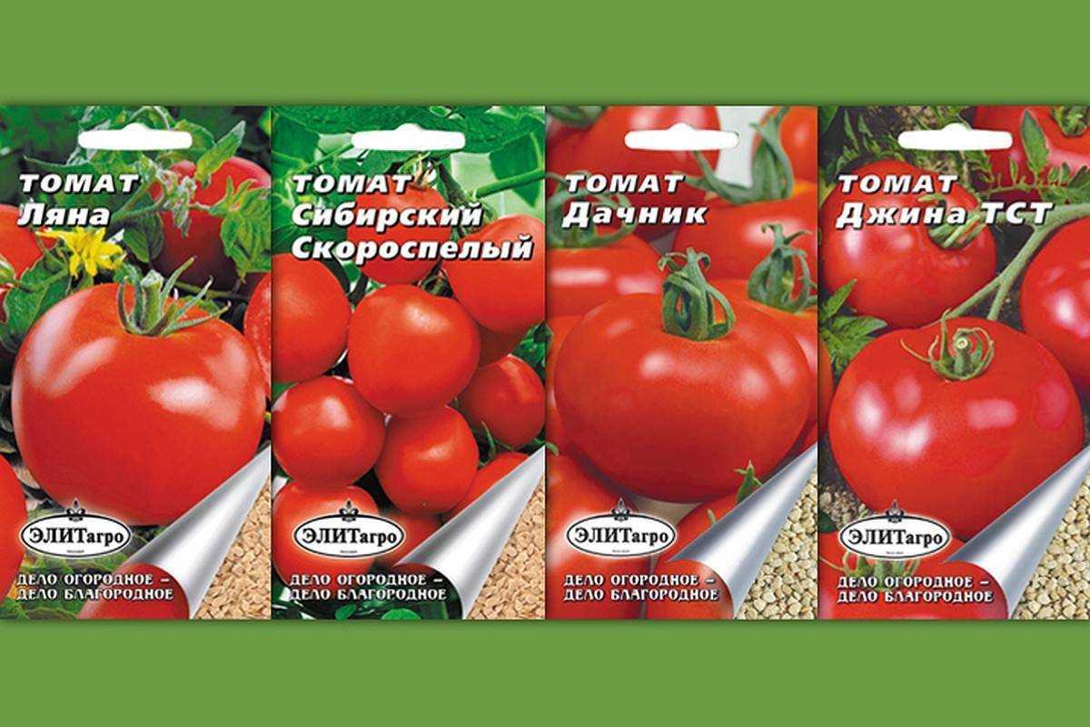 Томат джина тст: характеристика и описание, отзывы, фото, урожайность